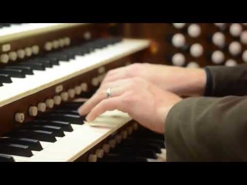 J.S. Bach: Toccata in F Major, BWV 540 (Official Dan Campolieta Live Performance Video)
