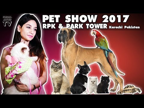 DOG CAT AND BIRD SHOW | RPK & Park Towers Pet Show | Karachi Pakistan