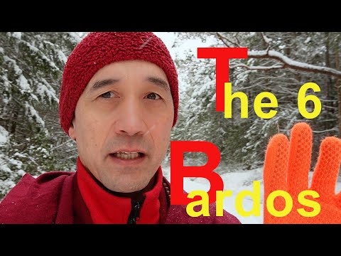 The six bardos and the importance of  #wisdom embraced by #compassion