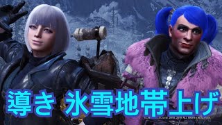 MHW I アイスボーン 導きの地 氷雪地帯上げ