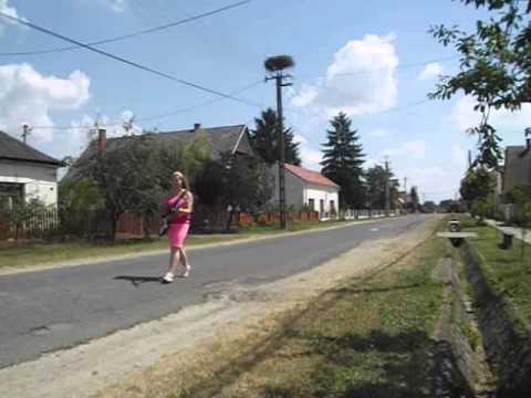 Csoro Itt Minden Hang video