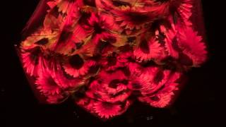 Katy Perry Spiritual and Simple Live Montreal 2014 HD 1080P