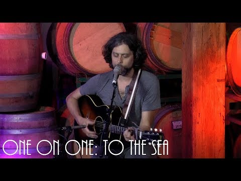 Cellar Sessions: David Berkeley - To The Sea July 23rd, 2019 City Winery New York