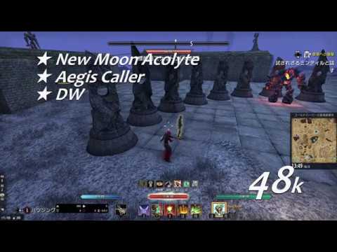 ESO Stamina Sorcerer DPS test Harrowstorm (3m Selfbuffed ~48k) part2