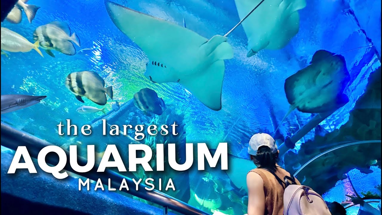 Experience the enticing highlights of Aquaria KLCC.
