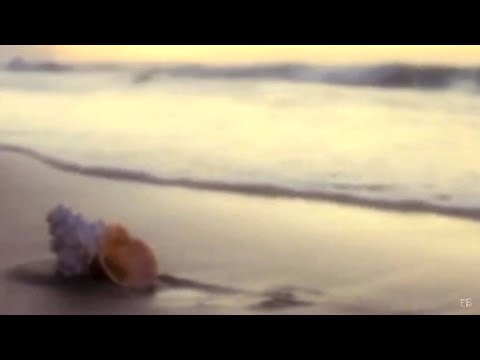 O que é o amor - Danilo Caymmi