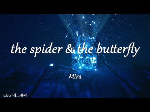 [Playlist]팝송추천#317 🎶the spider & the butterfly - Mira  (lyrics)