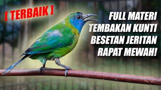 Download lagu MATERI KUNTI SEREM!! MASTERAN CUCAK KINOI GACOR FULL ISIAN BESETAN TEMBAKAN KUNTILANAK RAPAT KASAR mp3