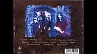 The Blood Divine - Warm Summer Rain(Acoustic guitar cover)