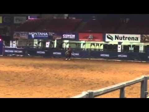 Chicky Bobby - March 2016