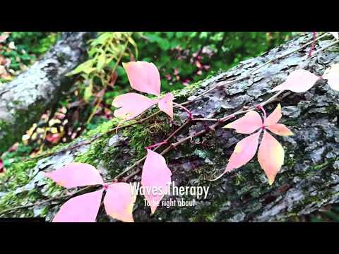 WavesTherapy  - To Be Right About (Tour de Traum XX)