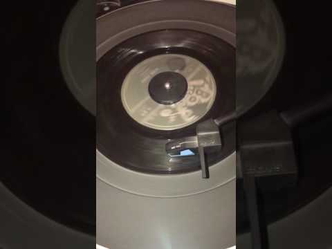 Orlie and the Saints King Kong