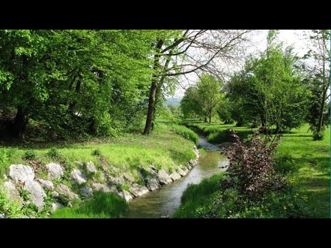 Zvonarevic Katarina - Presusio izvor stari