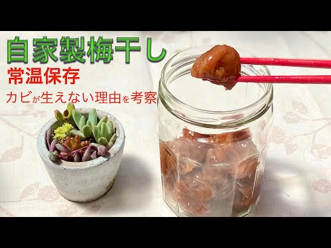 梅の保存: とても簡単です