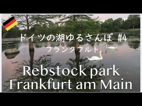 Passeando pelos lagos da Alemanha #4 Frankfurt | Paraíso dos pássaros | Natureza na cidade | Quatro estações | Gelo no inverno | Parque Rebstock, Frankfurt [vlog] #Alemanha #Caminhando #nutria