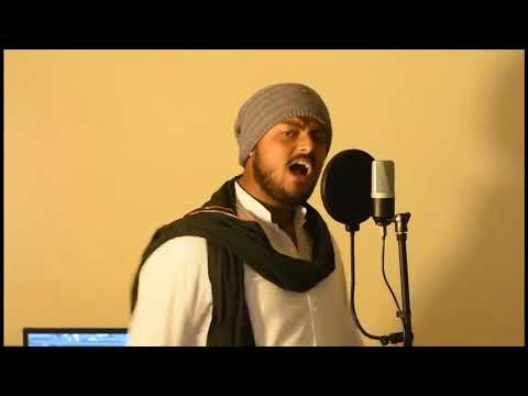 Baghi Punjab by Pakistani Singer Ali Abbas Chattha.   #KisanAndolan  #farmersrprotest