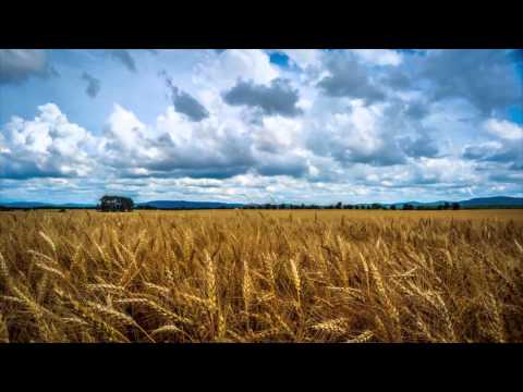 2015 Wheat Field Time Lapse