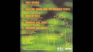 Beck - Electric Music And The Summer People