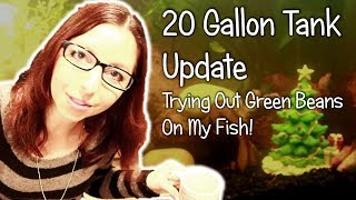 Fish Tank Update, Tank Maintenance, And Trying Out Green Beans