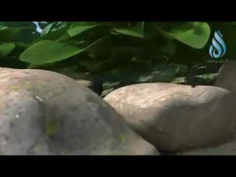 The power of synergy