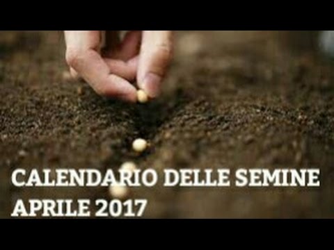 Medicina di scienza veterinaria da vermi Targa da vermi allatto delle risposte di persona