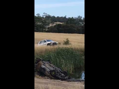 BUSH BASHING AT ITS FINEST #4