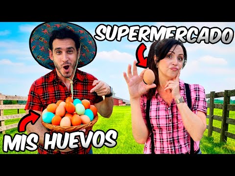 GREEN EGGS? 😬 WE TRIED OUR FIRST EGGS VS. A SUPERMARKET 🥚 🍳 La Finquita Bonita