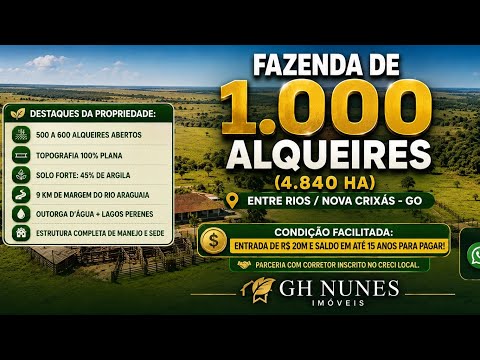🚜 Fazenda 1.000 Alqueires em Entre Rios (Nova Crixás - GO) | 9km de Rio Araguaia e 45% Argila