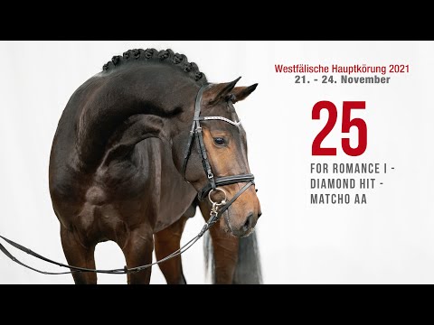Westfälische Hauptkörung Reitpferdehengste:Kat-Nr.25  For Romance I -   Diamond Hit - Matcho AA