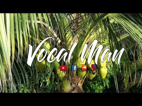 AYLEE x NP HEAVEN DELBOR TOZ REMIX 2022