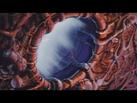 Dayytona Fox - Search and Destroy「AMV」