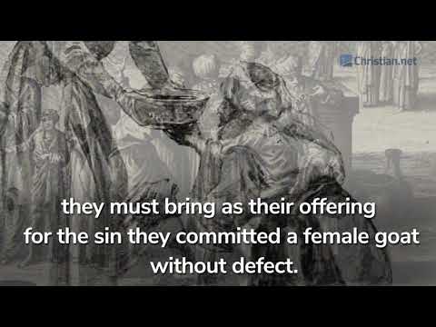 Leviticus 4 – 5:13: Israelites Sin Offering | Bible Stories