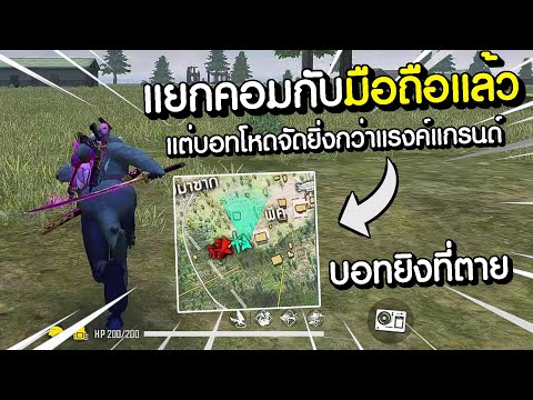 ฟีฟาย