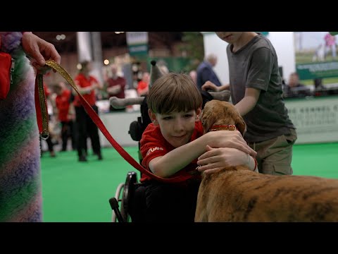 Make-A-Wish Foundation makes young boy's dreams come true