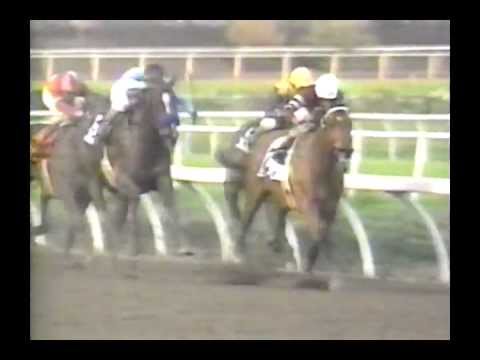 1993 Hollywood Futurity - Valiant Nature