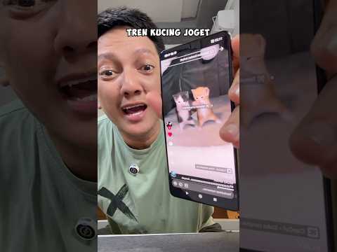 Kucing Mattzett Ikut Tren Joget Kicau Mania