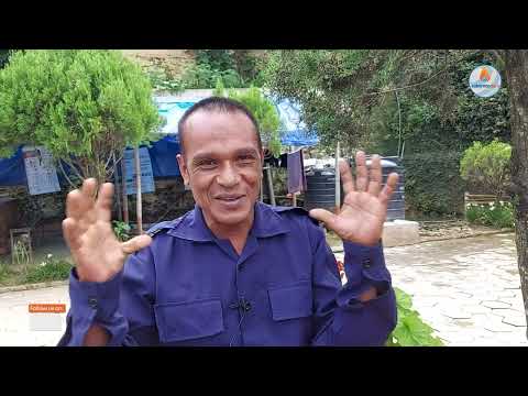 तारमा चढ्दिनँ, अब पुग्यो; चान्स पाए कलाकार बन्ने हो- माइला [भिडियो]