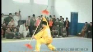 preview picture of video 'Yinyang Bapanzhang Spear  [河北: 阴阳八盘掌 - 五虎穿林抢]'