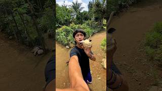 Download lagu Bikin miniatur bantengan part2 mp3