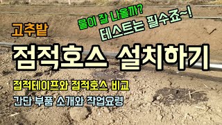 고추밭 점적호스 점적관수 설치방법 고추 물주는 방법 점적호스와 테이프 비교