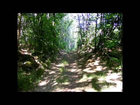 Jakobsweg Tag 17 Limoges – Périgueux