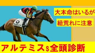 【2023アルテミスS】アルテミスｓ全頭診断！！大本命はいても紐荒れには要注意！！オッズと要相談！！