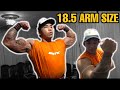 18.5 inch ARM SIZE | My favorite exercise for BIGGER ARMS | vlog 39