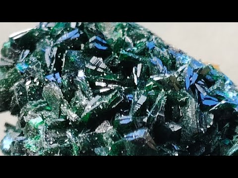 Congo Cocktail Time EP.139 20/1