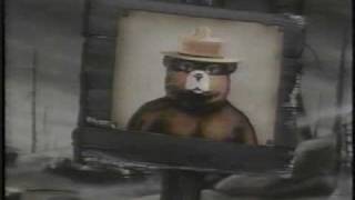Smokey the Bear forest fire 1980's