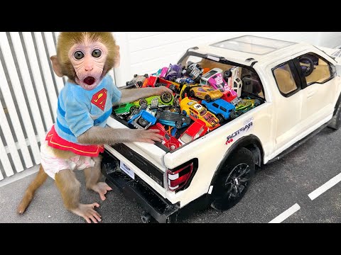 Monkey Baby Bon Bon drives a car and plays with puppy and duckling by the track