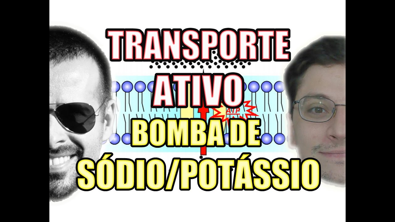 Transporte Ativo: Bomba de Sódio (Na) e Potássio (K) - Biologia Celular - VideoAula 107