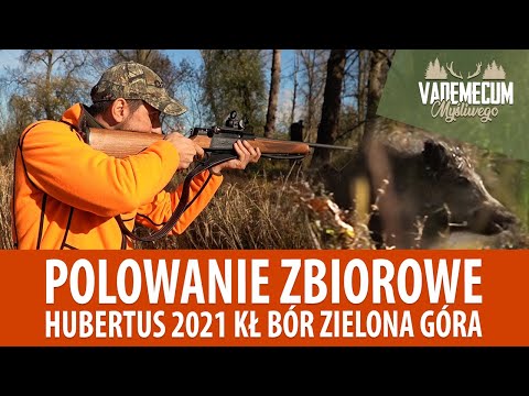 # 144 Polowanie zbiorowe Hubertus 2021 Kł Bór Zielona Góra