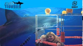 DIA 3 Expo Tiburon115