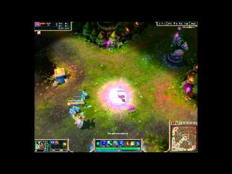 Order of the Lotus Karma Skin (Incomplete)